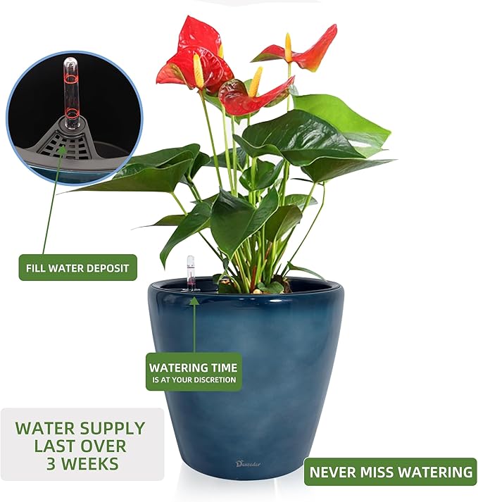 Dexceder 18x17 Self Watering Planter - Image 5