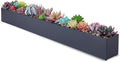 DR&Co Modern Grey Rectangle Planter Box, Narrow Box by DRCo