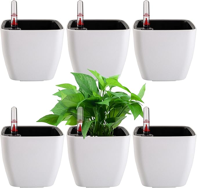 yarlung 6 Pack Self Watering Planter by Yarlung