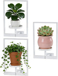 Wall Hanging Plant Stands Planter Shelves, Indoor Outdoor Window Plant Hanger by Unknown