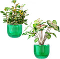 Melphoe Self Watering Pots for Indoor Plants Planter, 6.5 Inch 2 Pack Planters by Melphoe