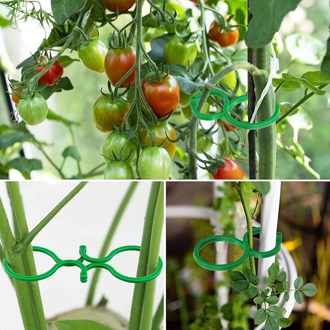 Hysagtek 120 Pcs Large Garden Plant Clips Tomato Clips Plant Locks Clips - Image 4