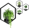 Wall Planters for Indoor Plants, Plant Frames Wall Decor Living Room Plant by DEMEGA