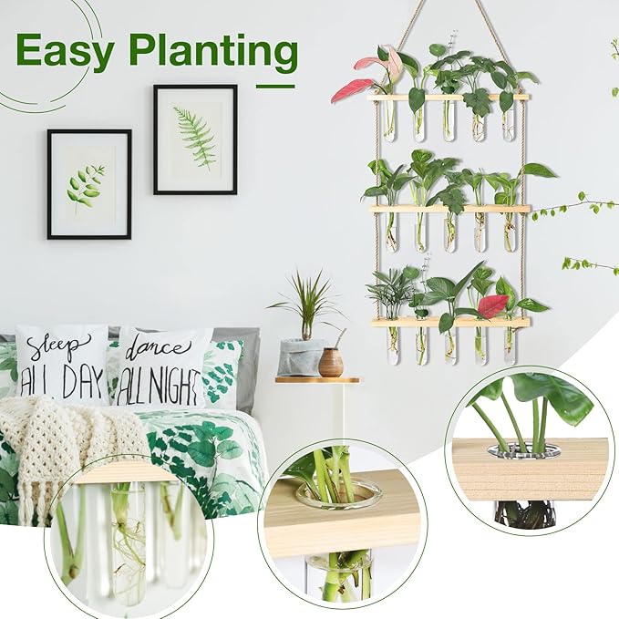 XXXFLOWER Wall Hanging Propagation Station - Image 3
