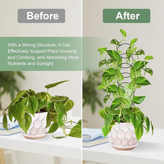 17.5 Inch Plant Trellis Indoor for Climbing Plants, Metal Trellis, Small Garden - Image 3