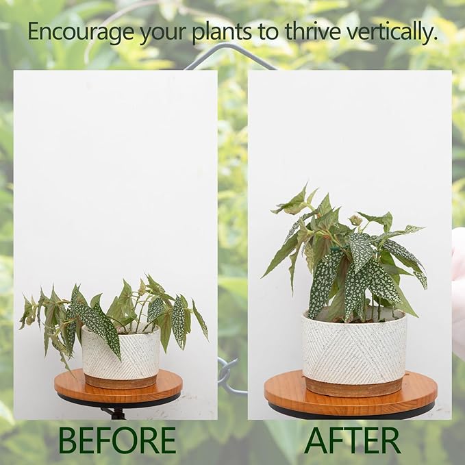 Monstera Plant Stem Support - Image 3
