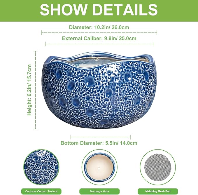10 Inch Plant Pot - Image 2