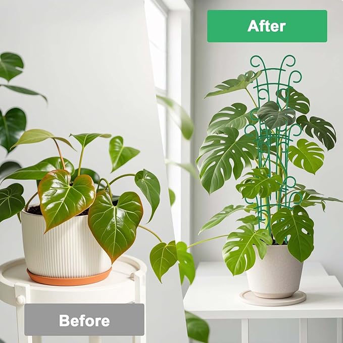 Plant Trellis for Potted Plants 12 Pack Stackable Indoor Outdoor Climbing - Image 7