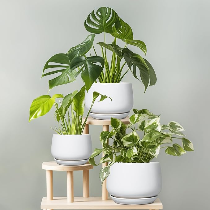 G EPGardening Ceramic Planter 9 Inch - Image 7