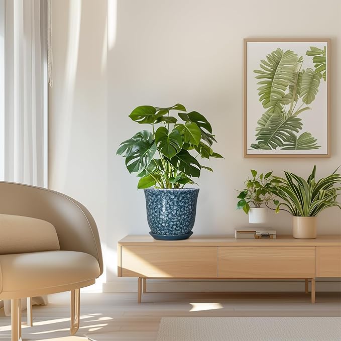 8 Inch Plant Pot - Image 7