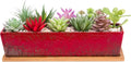Succulent Pots - Large Succulent Planter Pots by ARTKETTY