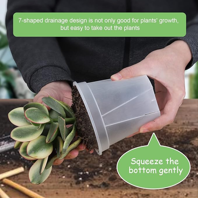 GREENPARA Transparent Plastic Planter 4/5 /6 inch Plant Nursery Pots - Image 5