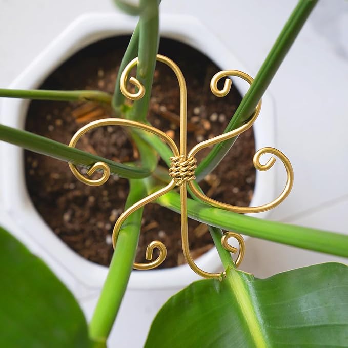 5PCS Monstera Plant Support System 4.1IN by Yohsnor