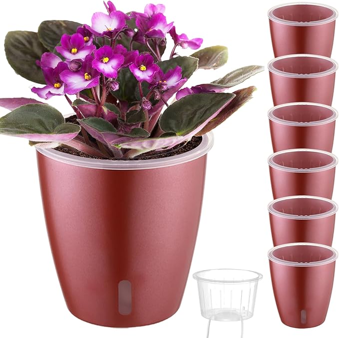 Self Watering Pots for Indoor Plants, Small African Violet Pots by KvyusFlourish