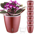 Self Watering Pots for Indoor Plants, Small African Violet Pots by KvyusFlourish