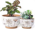 YBX 8 Inch + 6 Inch Ceramic Plant Pots, Succulent Flower Pots by YBXYIBOXUAN