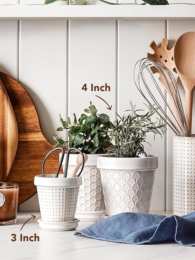 LE TAUCI 3 Inch Mini Succulent Pots - Image 5