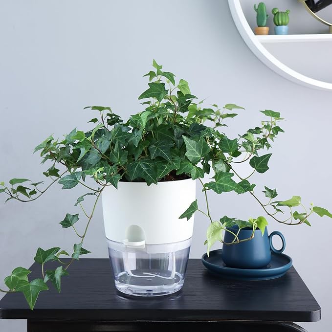 6 Inch Self Watering Plastic Plant Pots - Image 5
