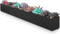 DR&Co Modern Rectangle Planter Box by DRCo