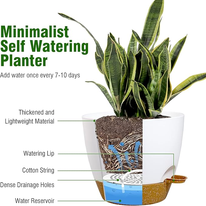 Large Self Watering Pots, 12/10/9 Plastic Planters - Image 4