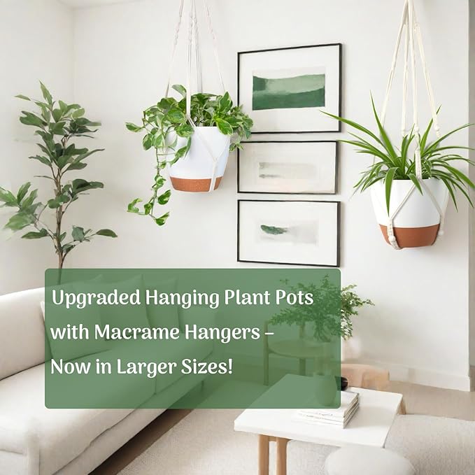 Set of 3 Hanging Planters for Indoor Plants - Image 8