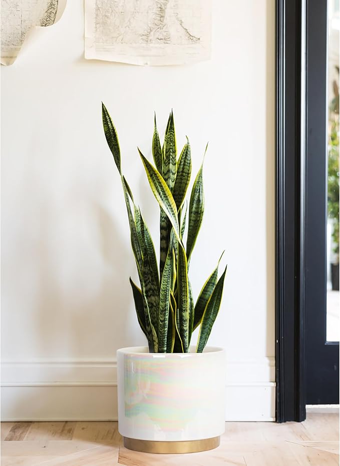 Gepege White Indoor Plant Pots for Plants, Large Ceramic Planter - Image 6