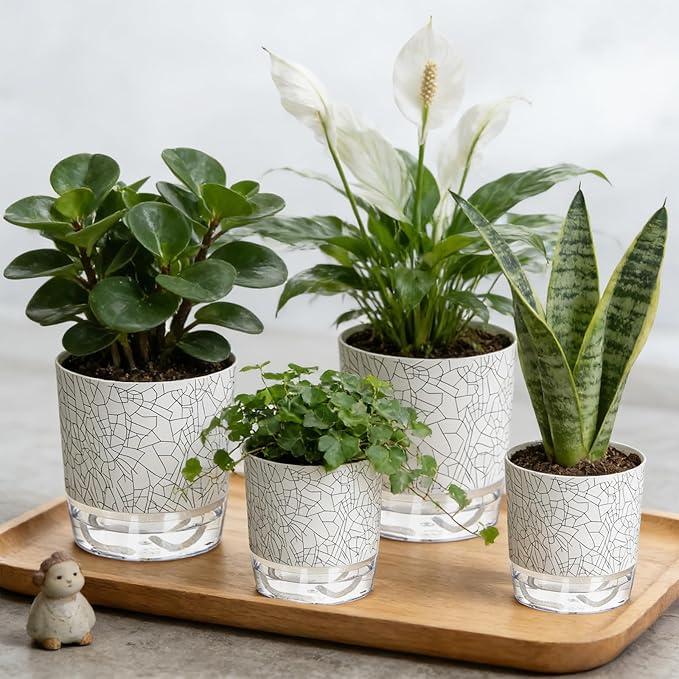 Self Watering Pots for Indoor Plants, 4/5.5 Inch Crackle Pattern Planters - Image 5