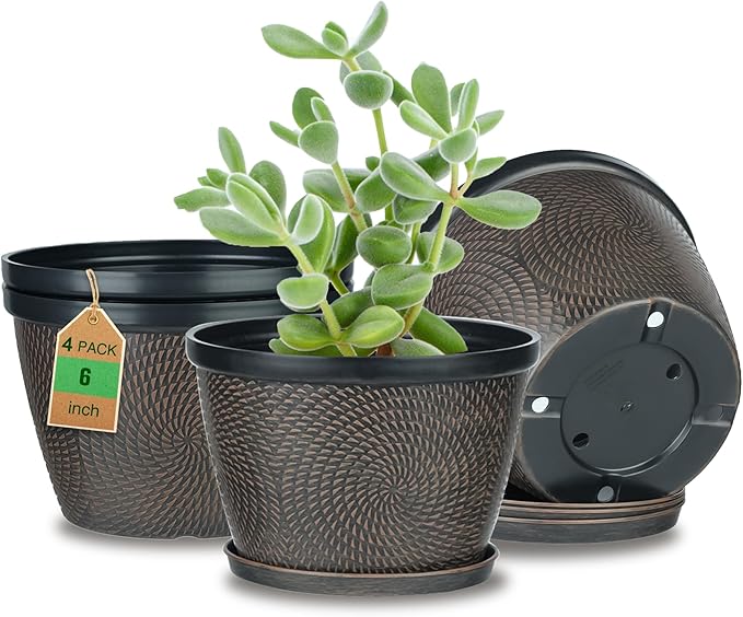 Quarut 4 Pack 6 Inch Flower Pots by Quarut