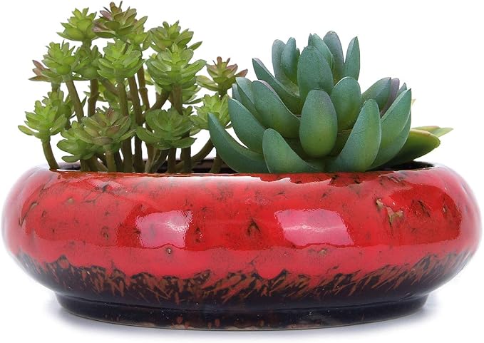 VanEnjoy 7.1 inch Round Large Shallow Succulent Ceramic Glazed Planter Pots by VanEnjoy