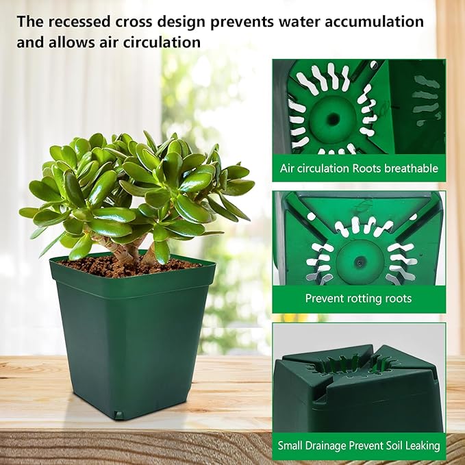 Square Seedling Nursery Pots 3.15 Inches 100 Pcs - Image 4
