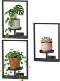 Wall Hanging Plant Stands Planter Shelves, Indoor Outdoor Window Plant Hanger by Unknown