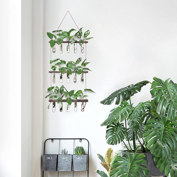 XXXFLOWER Wall Hanging Propagation Station - Image 8