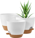 FaithLand 3-Pack Planter Pots, 10 9 8 Inch Self Watering Flower Pots by FaithLand