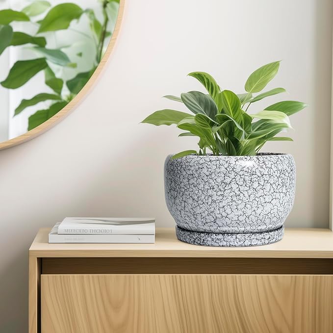 SQOWL Ceramic Planters - Image 7