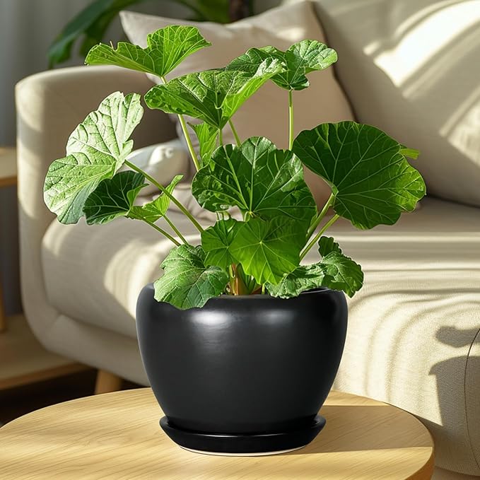 Ceramic Planter Pot - Image 7