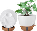 montresor 2 Pack 10 inch Plant Pots, PP Plastic Self Watering Plant Pot by Montresor