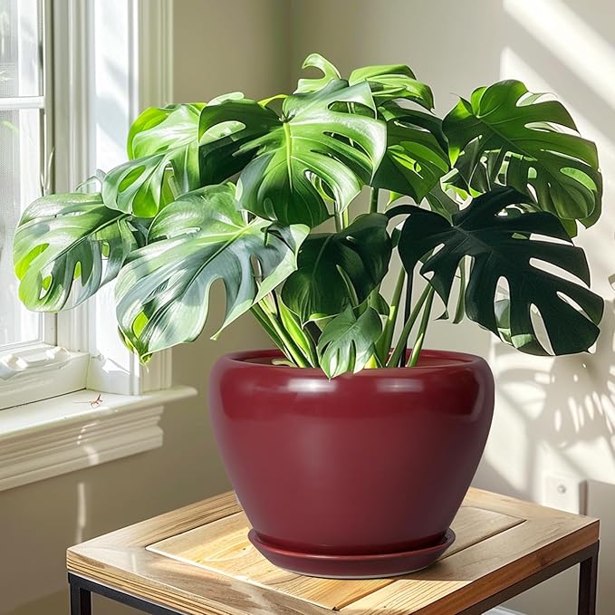 10 Inch Plant Pot - Image 5