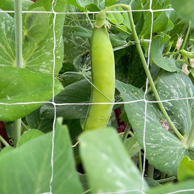 Tcamp Heavy-Duty Polyester Garden Trellis Net Plant Support Netting - Image 8