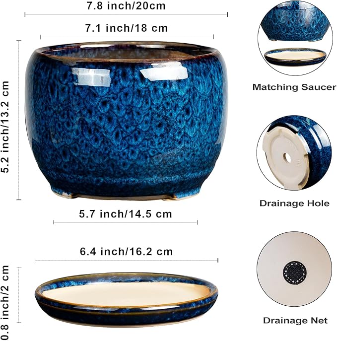 SQOWL Ceramic Planter 8 Inch - Image 3
