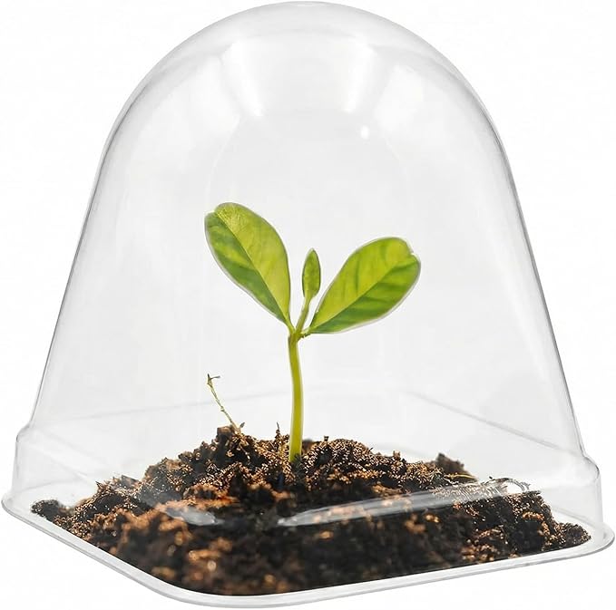 120 Pack Clear Humidity Domes, Transparent Seedling Domes Compatible - Image 2