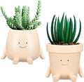 Domensi 2 Pcs Swing Hanging Planter Cute Smile Flower Face Pot Indoor Outdoor by Domensi