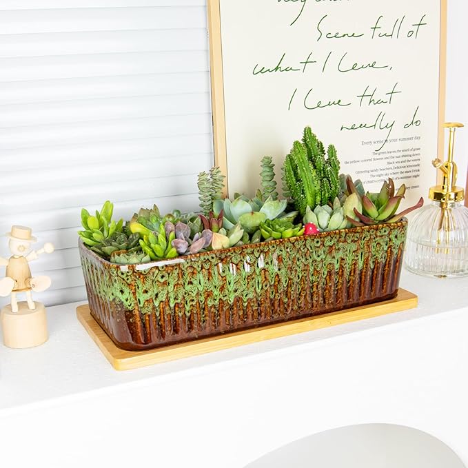 Succulent Pots - 12 Inch Large Succulent Planters - Image 4