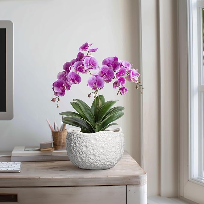 Ceramic Plant Pot - Image 4