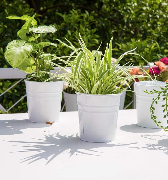 Dahey 10 Pcs Hanging Flower Pots Metal Iron Bucket Planter - Image 7