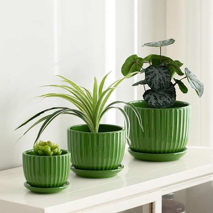 Ton Sin Ceramic Plant Pots, Indoor Planters - Image 6