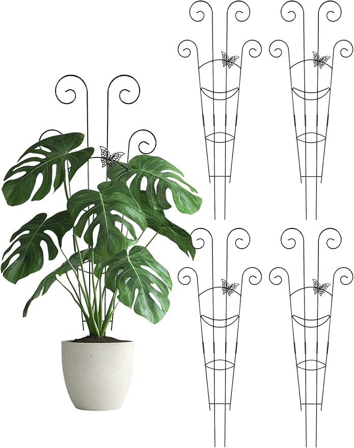 Metal Butterfly Trellis for Climbing Plants Indoor, 4 Pack 30 Inch Taller by Whtawtaw