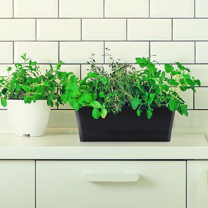 Skelang 3 Pcs Rectangular Plant Pot, Windowsill Container - Image 6