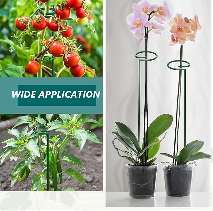 MAFONE 6 Pack 24inch Plant Support Stakes, Plant Stick - Image 4