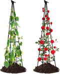 Lalahoni Garden Trellis for Climbing Plants, 67inch Tall Garden Obelisk Trellis by Thereasonyoulovegardening