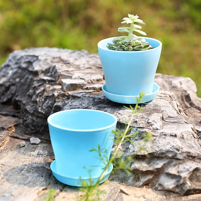 TDHDIKE 10 Pcs Plastic Planters Indoor Flower Plant Pots, Mini Flower Seedlings - Image 4